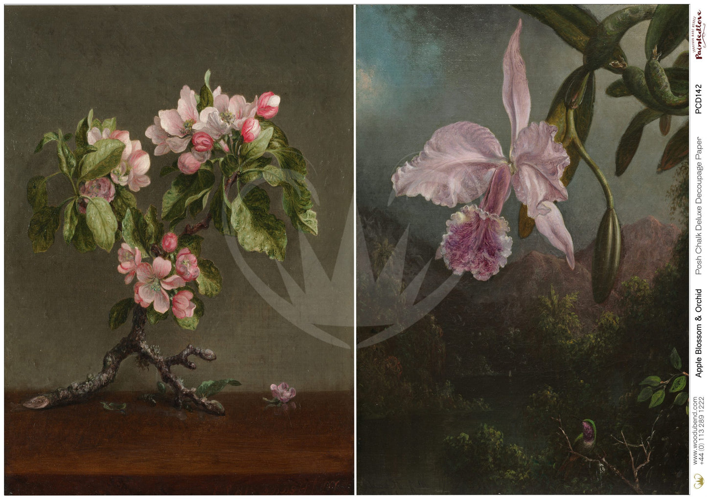 Posh Chalk Deluxe Decoupage from The House of Mendes Apple Blossom & Orchid