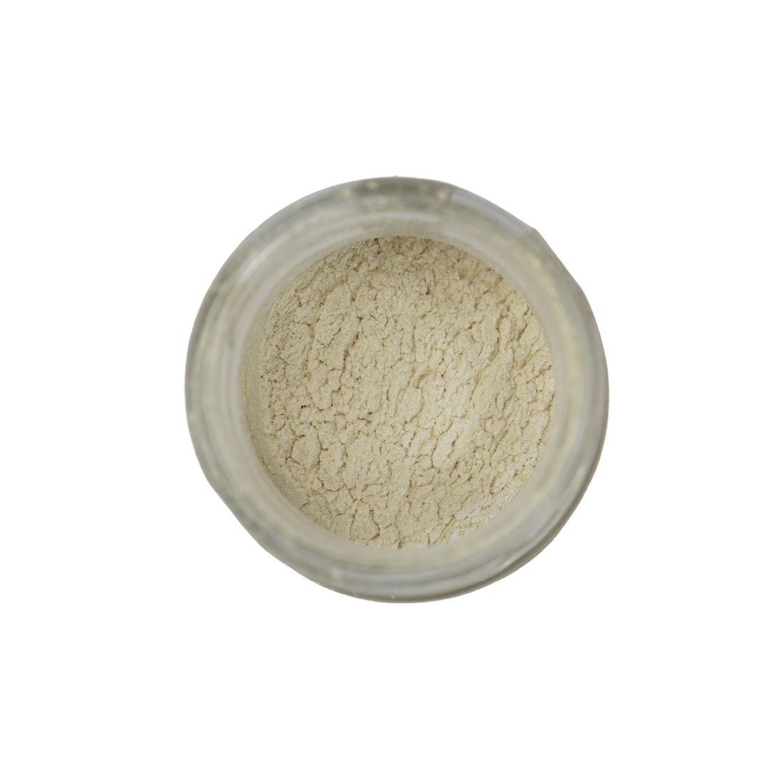 Posh Chalk Pigments (Original and Precious)