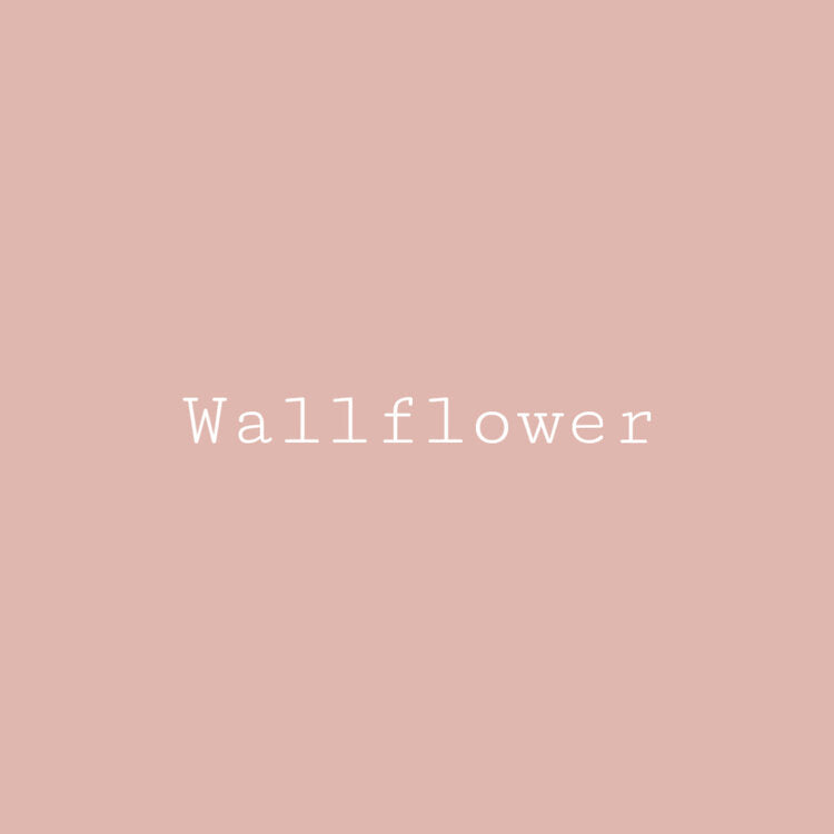 Melange ONE Wallflower Pink - All in One Paint, Primer and Topcoat