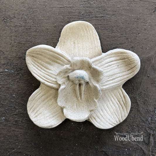 WoodUbend Pack of Five Simple Five Petal Flowers WUB0347 (1.9306 × 1.8912 in)
