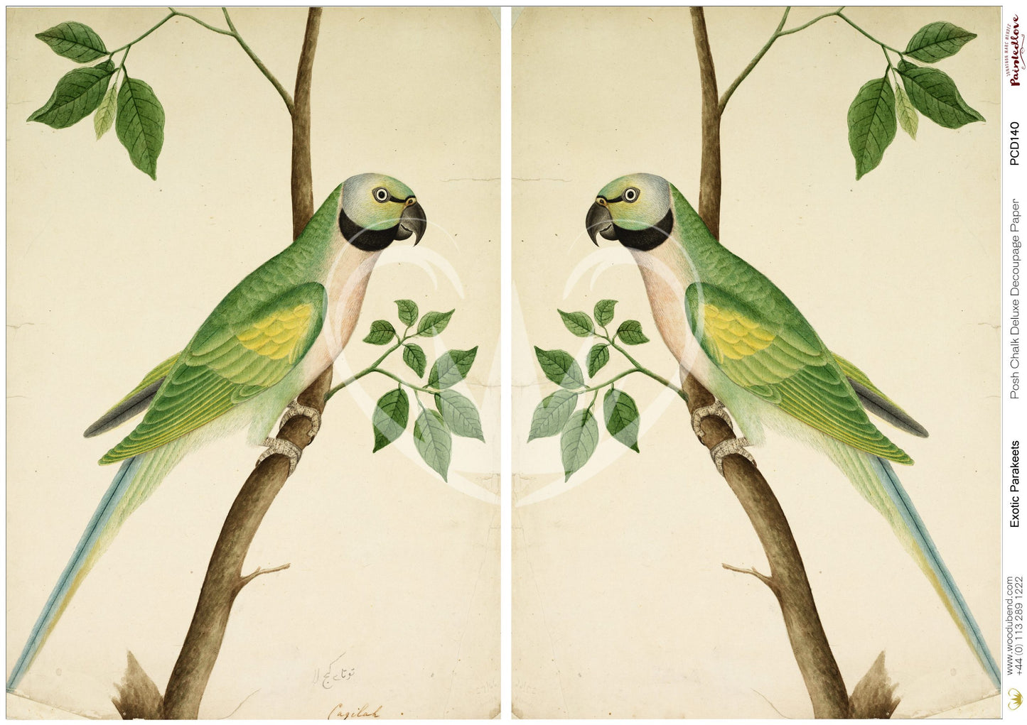 Posh Chalk Deluxe Decoupage from The House of Mendes Exotic Parakeets