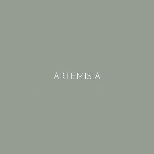 Melange Modern Artemisia Green - Enamel Paint for Furniture and Cabinets  - No Top Coat Needed!