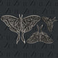 Steampunk Luna Moth Silicone Mold by Zuri